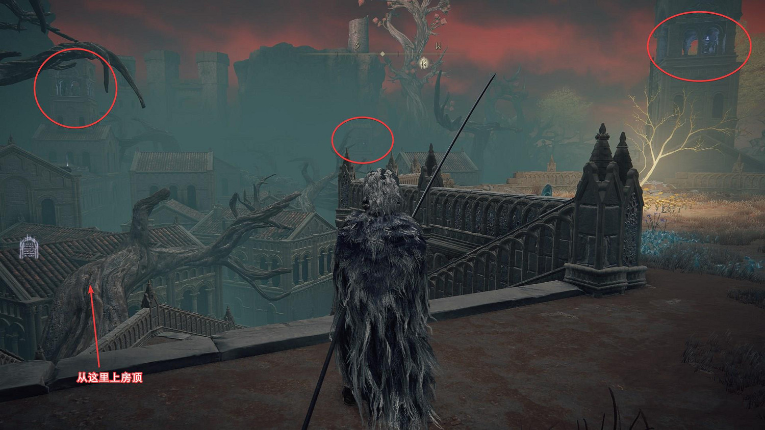 《艾爾登法環》聖樹怎麽去?金針支線任務流程攻略 《艾爾登法環》聖樹怎麽去?金針支線任務流程攻略