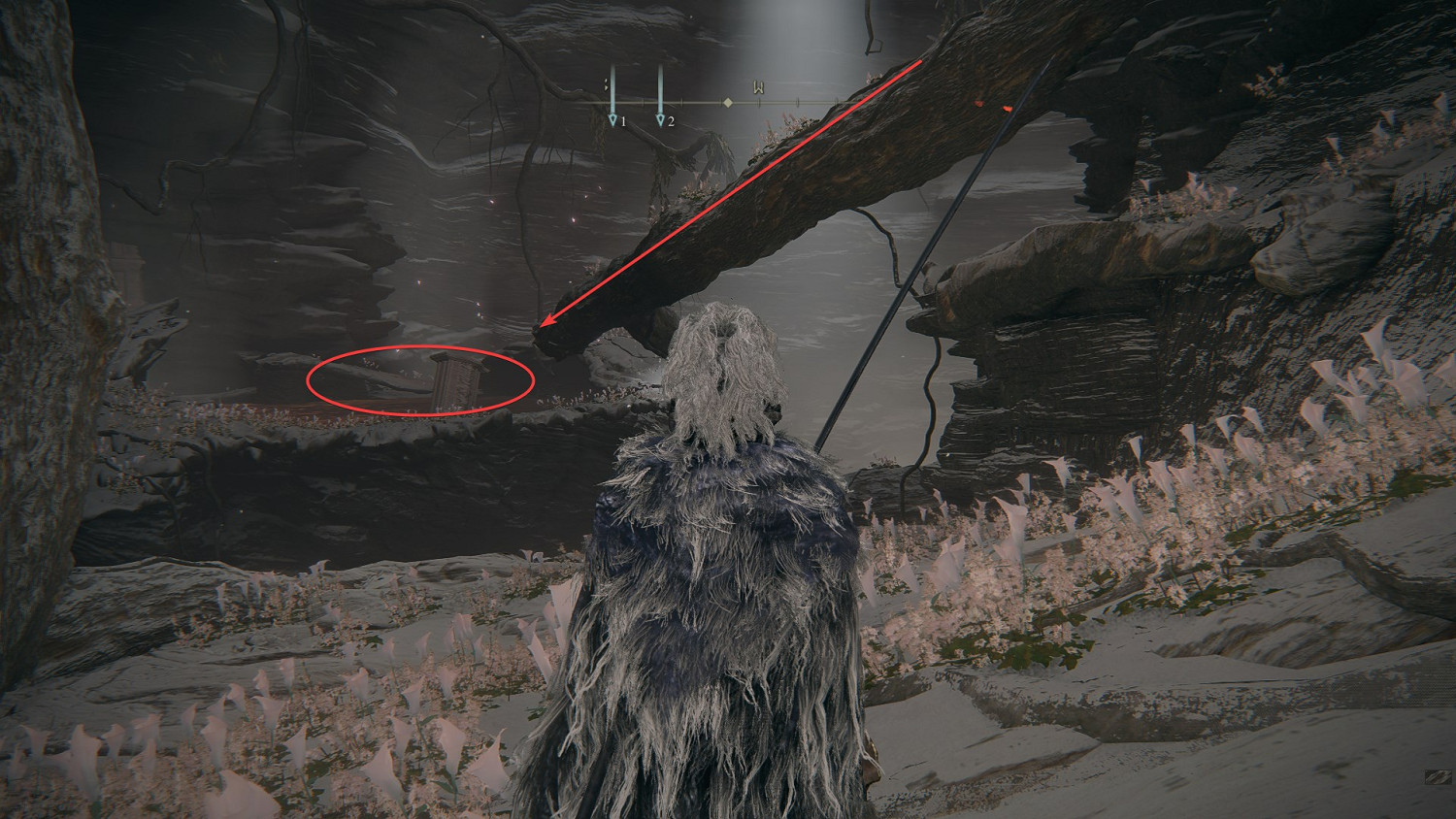 《艾爾登法環》聖樹怎麽去?金針支線任務流程攻略 《艾爾登法環》聖樹怎麽去?金針支線任務流程攻略