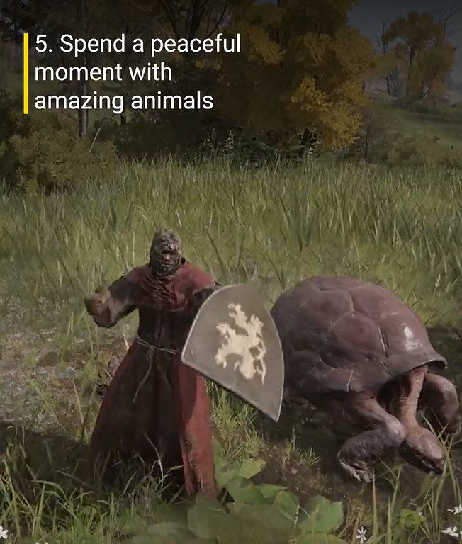 動保組織又來！教玩家《艾爾登法環》中如何善待動物