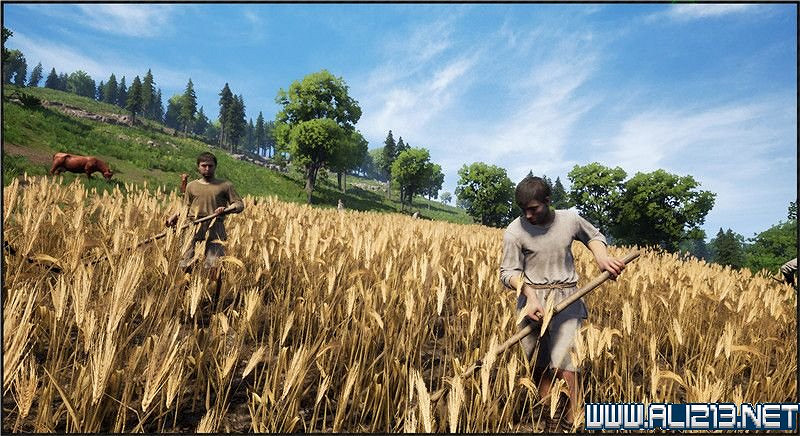 《中世紀王朝》新手教學圖文全解析 新手攻略詳解【完結】 《中世紀王朝》新手教學圖文全解析 新手攻略詳解【完結】