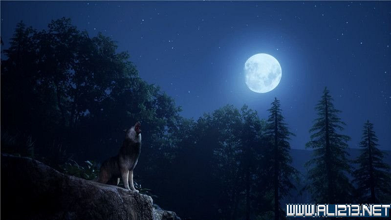 《中世紀王朝》新手教學圖文全解析 新手攻略詳解【完結】