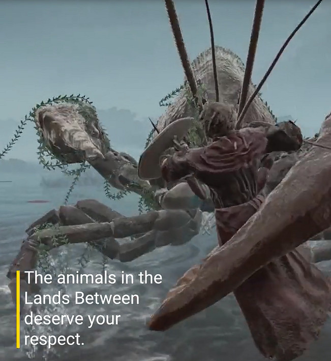 動保組織又來！教玩家《艾爾登法環》中如何善待動物