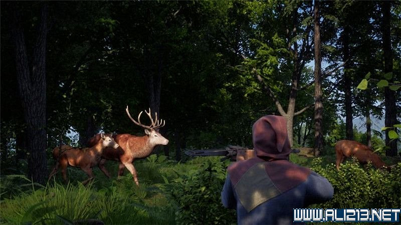 《中世紀王朝》新手教學圖文全解析 新手攻略詳解【完結】 《中世紀王朝》新手教學圖文全解析 新手攻略詳解【完結】