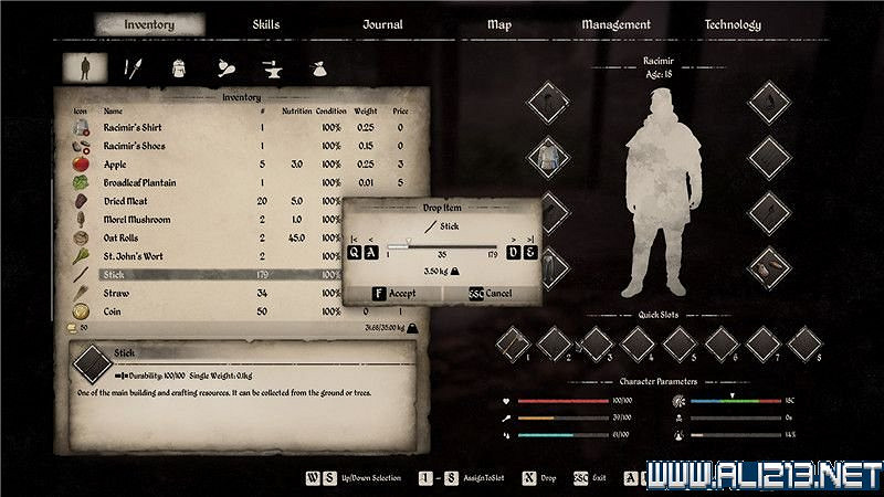 《中世紀王朝》新手教學圖文全解析 新手攻略詳解【完結】