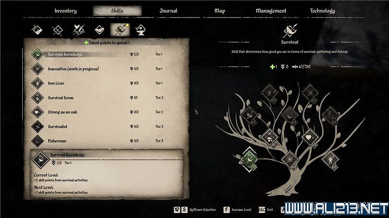 《中世紀王朝》新手教學圖文全解析 新手攻略詳解【完結】 《中世紀王朝》新手教學圖文全解析 新手攻略詳解【完結】