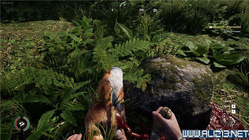 《中世紀王朝》新手教學圖文全解析 新手攻略詳解【完結】