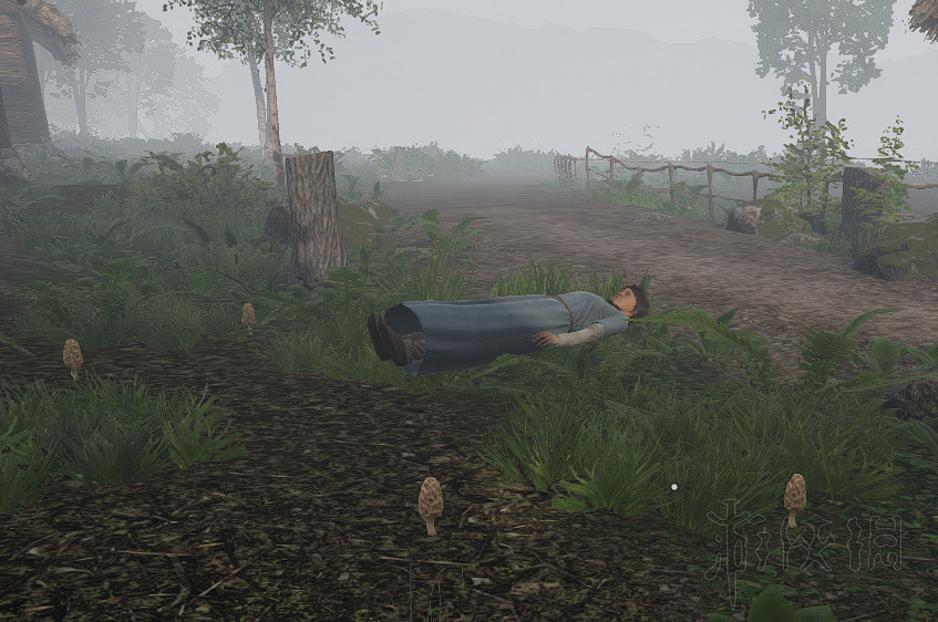 《中世紀王朝》農田怎麽摧毀？村落發展技巧心得分享