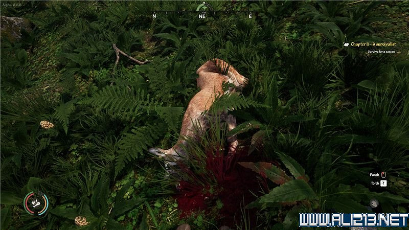 《中世紀王朝》新手教學圖文全解析 新手攻略詳解【完結】