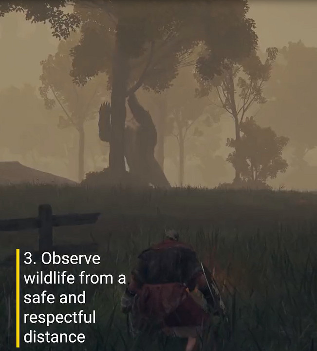 動保組織又來！教玩家《艾爾登法環》中如何善待動物