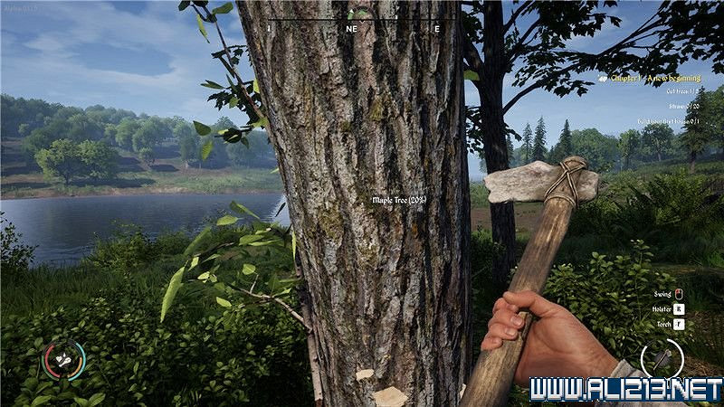 《中世紀王朝》新手教學圖文全解析 新手攻略詳解【完結】