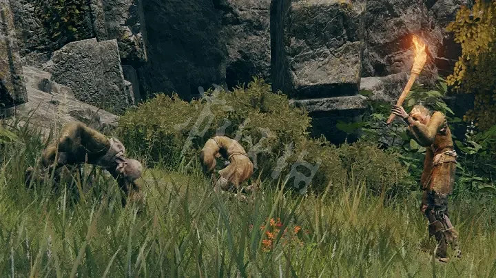 《艾爾登法環》權貴上衣如何獲得？權貴上衣獲取方法分享