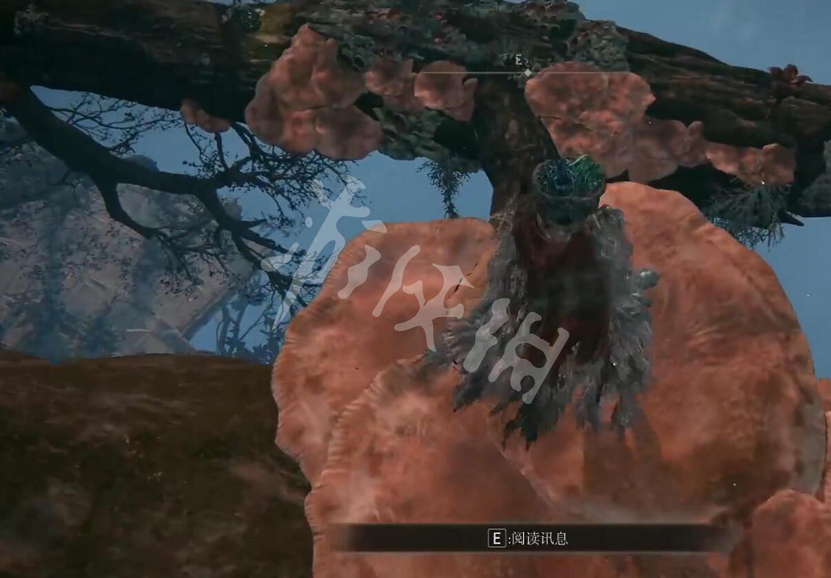 《艾爾登法環》神諭眾使者的骨灰如何獲得?神諭眾使者的骨灰獲取方法分享 《艾爾登法環》神諭眾使者的骨灰如何獲得?神諭眾使者的骨灰獲取方法分享