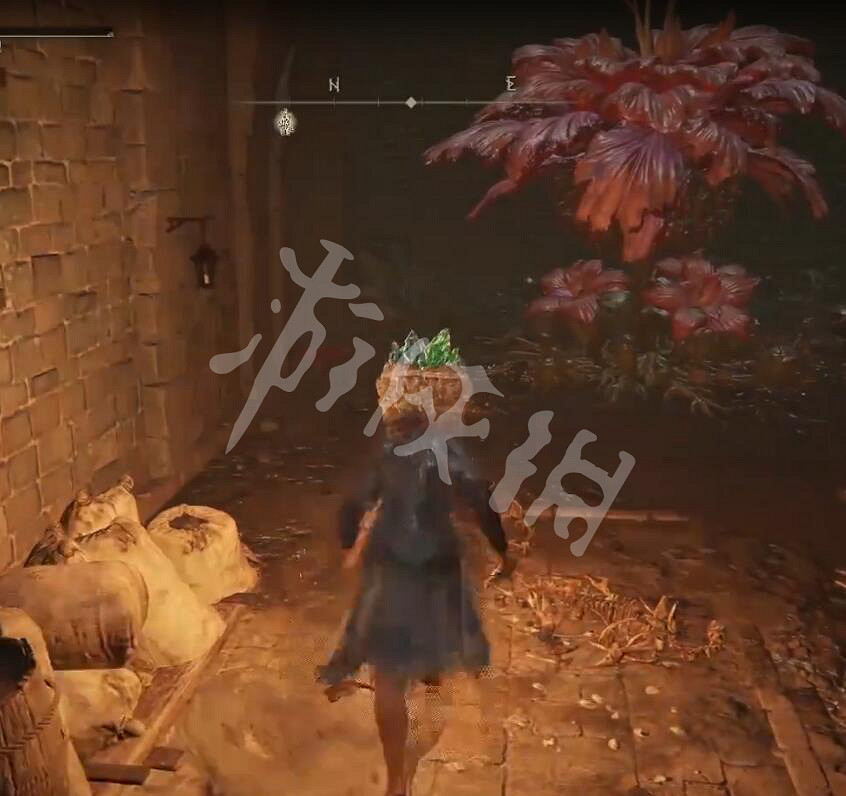 《艾爾登法環》流浪民族骨灰怎麽拿?流浪民族骨灰獲取方法一覽 《艾爾登法環》流浪民族骨灰怎麽拿?流浪民族骨灰獲取方法一覽