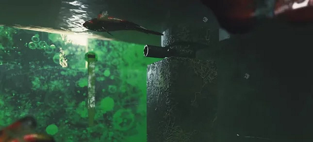 現實裡養寵物太累了 所以我選擇成為賽博鏟屎官! 現實裡養寵物太累了 所以我選擇成為賽博鏟屎官!