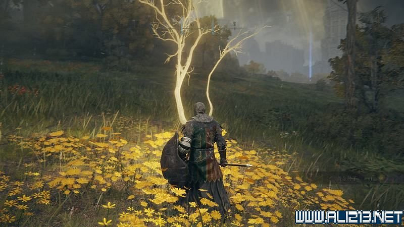 《艾爾登法環》主線流程全收集圖文攻略詳解 主線流程怎麽打? 《艾爾登法環》主線流程全收集圖文攻略詳解 主線流程怎麽打?