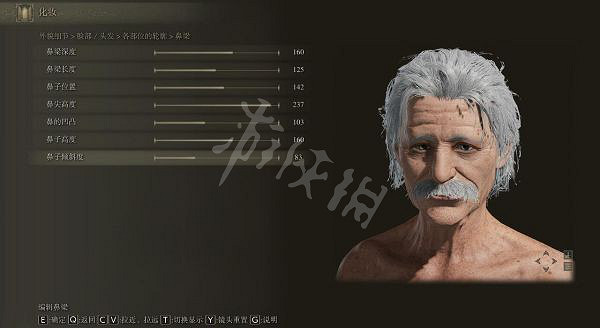 《艾爾登法環》愛因斯坦怎麽捏？愛因斯坦捏臉資料分享