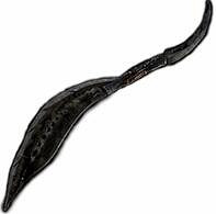 《艾爾登法環》曲劍武器厲害嗎？曲劍圖鑒屬性匯總