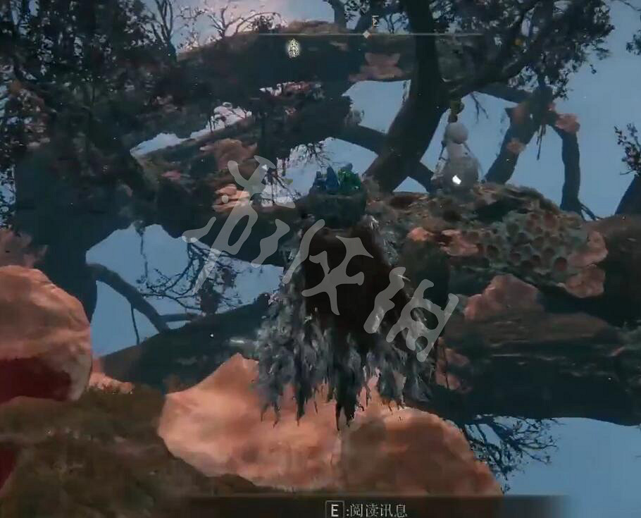 《艾爾登法環》神諭眾使者的骨灰如何獲得?神諭眾使者的骨灰獲取方法分享 《艾爾登法環》神諭眾使者的骨灰如何獲得?神諭眾使者的骨灰獲取方法分享