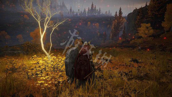 《艾爾登法環》無消耗舉盾流怎麽玩?無消耗舉盾流配裝分享 《艾爾登法環》無消耗舉盾流怎麽玩?無消耗舉盾流配裝分享