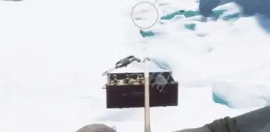 《恐懼饑荒》熊怎麽打？擊殺熊技巧分享