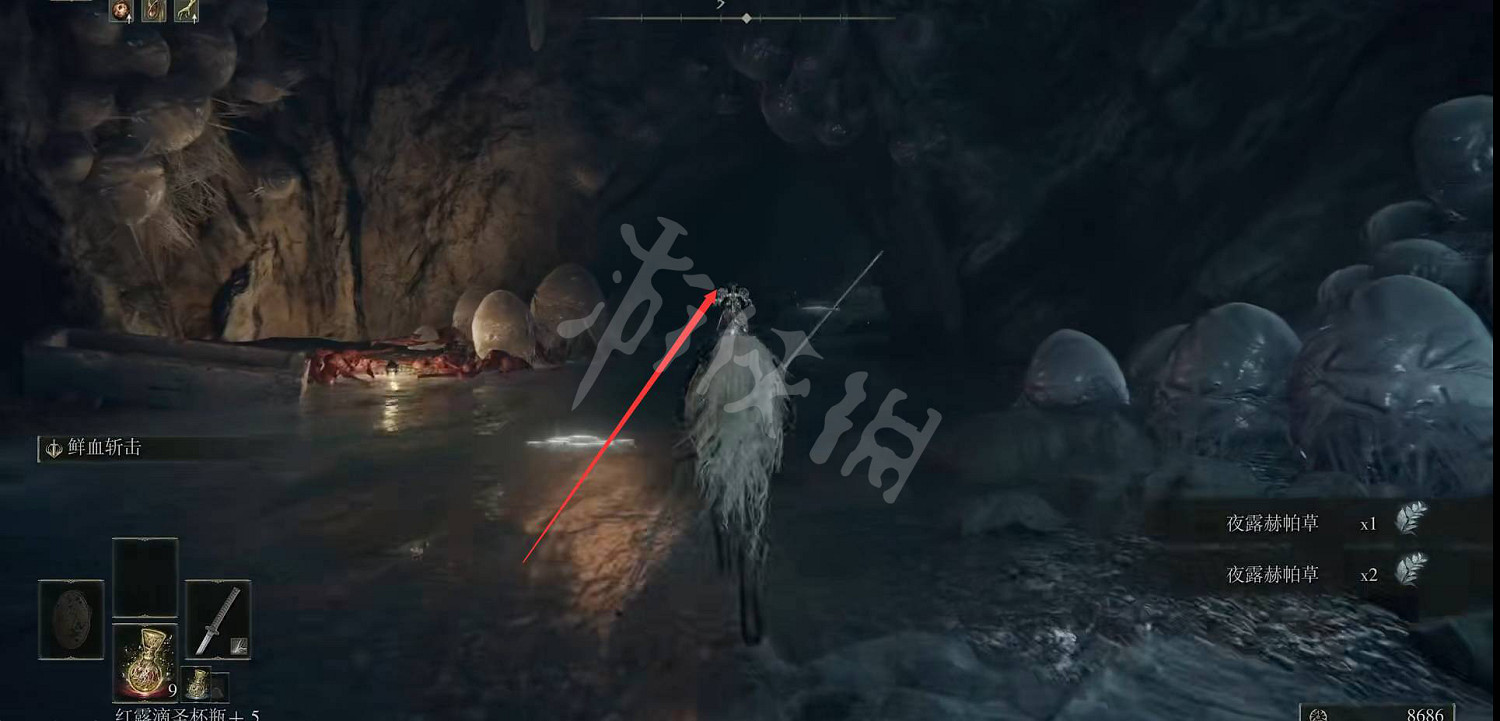 《艾爾登法環》災厄之影在哪？災厄之影位置介紹