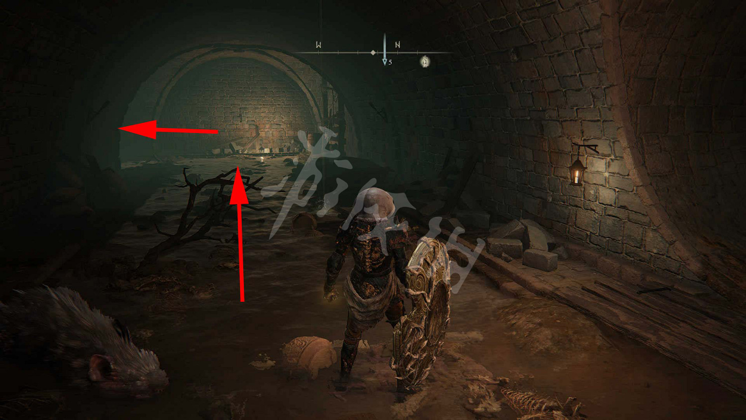 《艾爾登法環》食糞者流程圖文詳解 食糞者路線怎麽探索？