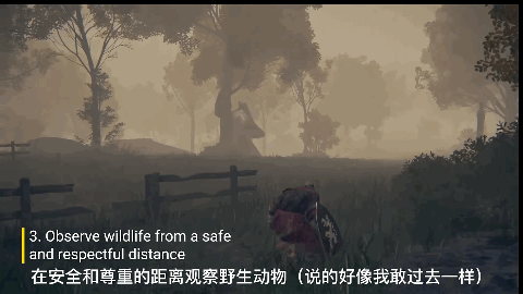 在艾爾登法環裡被龍蝦暴殺的我涉嫌“虐待動物”