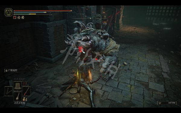 《艾爾登法環》更新後屍山血海好用嗎?屍山血海太刀傷害測試分享 《艾爾登法環》更新後屍山血海好用嗎?屍山血海太刀傷害測試分享