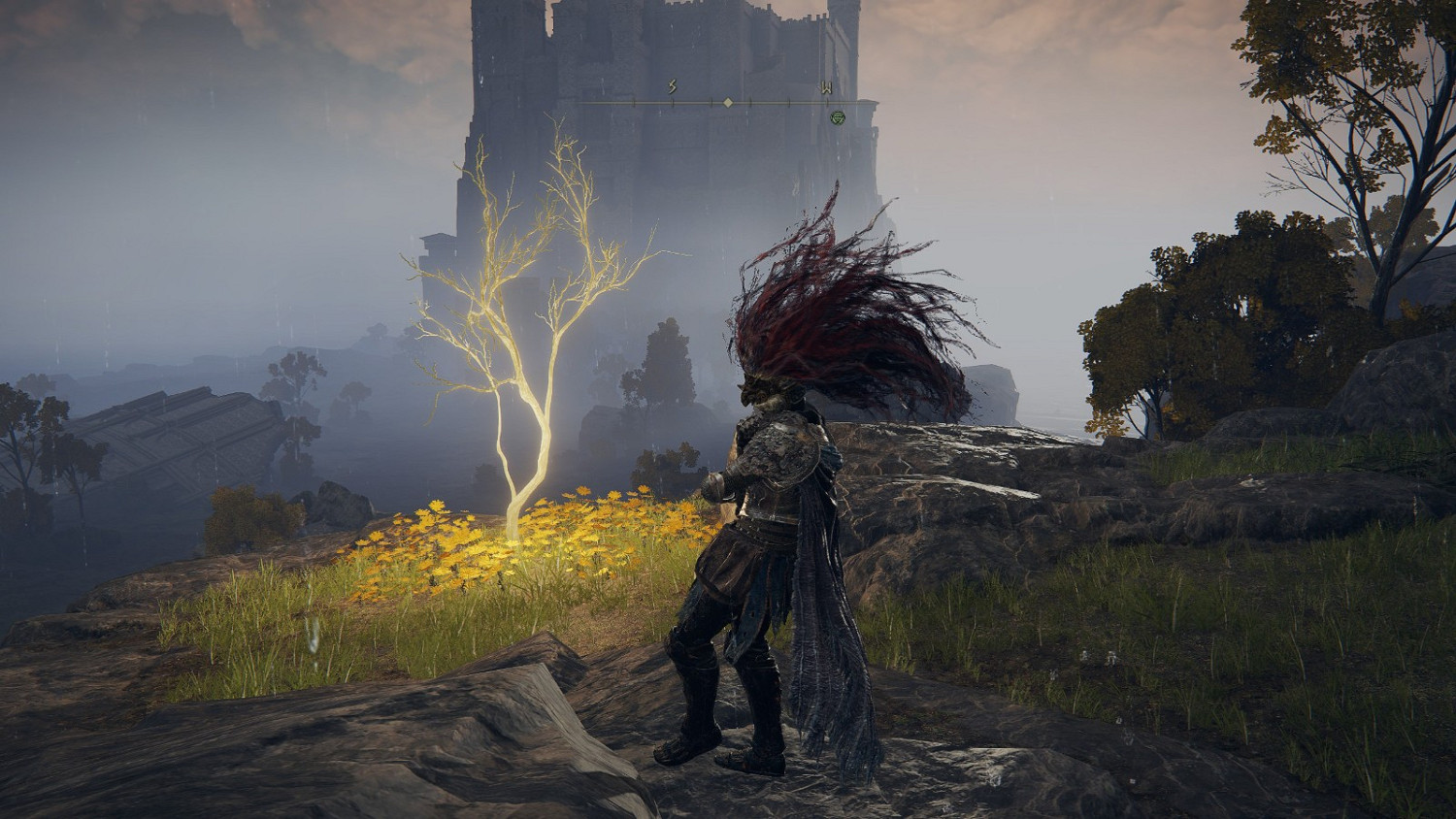 《艾爾登法環》啜泣半島全黃金種子及聖杯滴露位置介紹