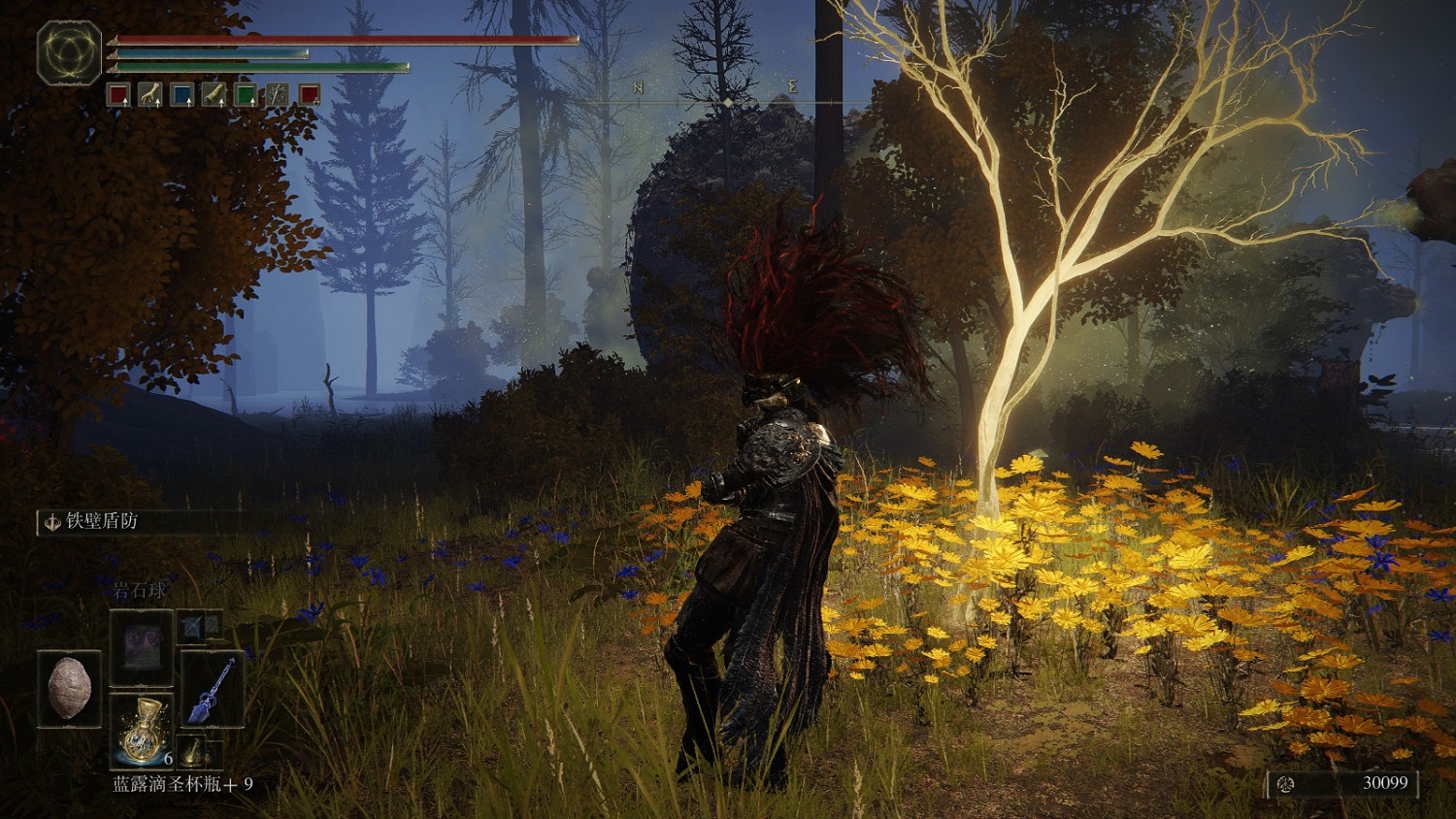 《艾爾登法環》湖之利耶尼亞全黃金種子及聖杯滴露位置介紹