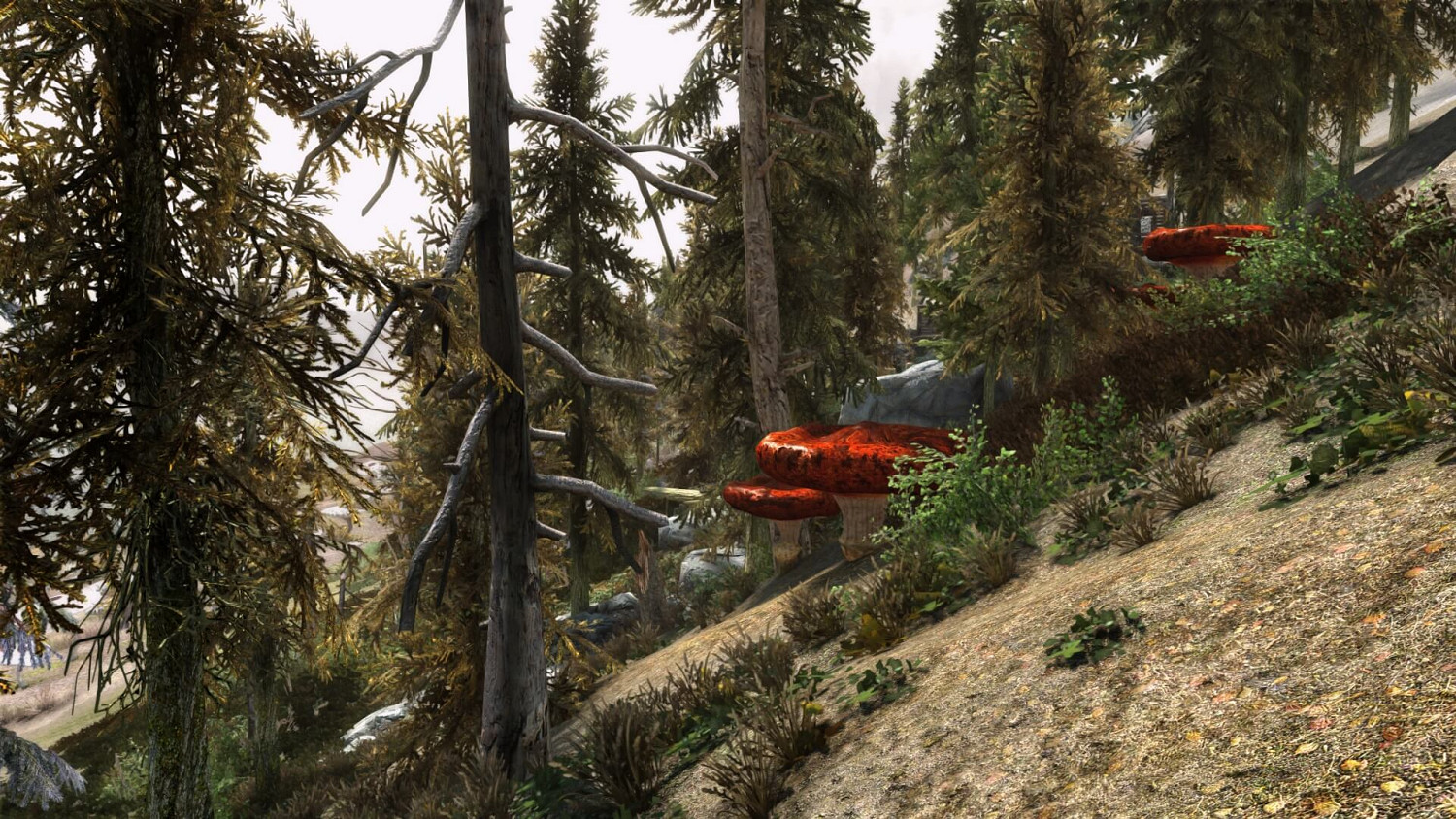 神奇MOD讓你在《上古卷軸5》中暢遊《上古卷軸3》的晨風省