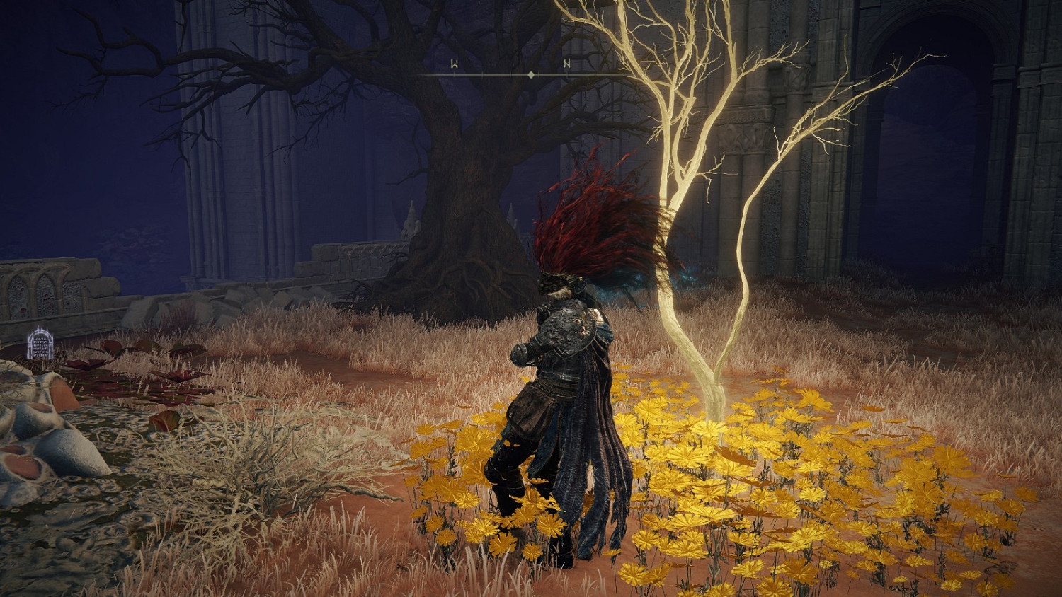 《艾爾登法環》蓋利德全黃金種子及聖杯滴露位置介紹