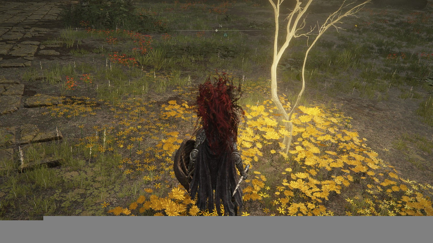 《艾爾登法環》寧姆格福全黃金種子及聖杯滴露位置介紹