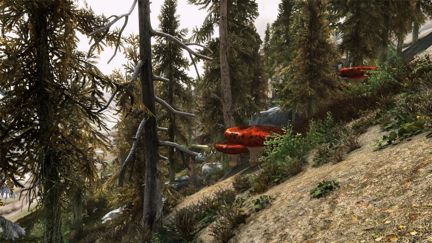 《上古卷軸V:無界天際重製版》晨風之影MOD現已發布 《上古卷軸V:無界天際重製版》晨風之影MOD現已發布