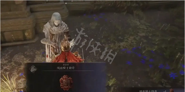 《艾爾登法環》後期如何快速刷魂？失足烏鴉門刷魂方法分享