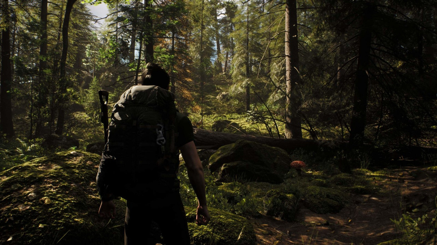 開放世界生存遊戲《Rooted》上架Steam 虛幻5引擎打造 開放世界生存遊戲《Rooted》上架Steam 虛幻5引擎打造