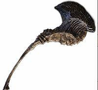 《艾爾登法環》特大武器好用嗎?特大武器圖鑒匯總 《艾爾登法環》特大武器好用嗎?特大武器圖鑒匯總