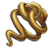 《天地劫》高皇君飾品用什麽 高皇君飾品搭配推薦 《天地劫》高皇君飾品用什麽 高皇君飾品搭配推薦