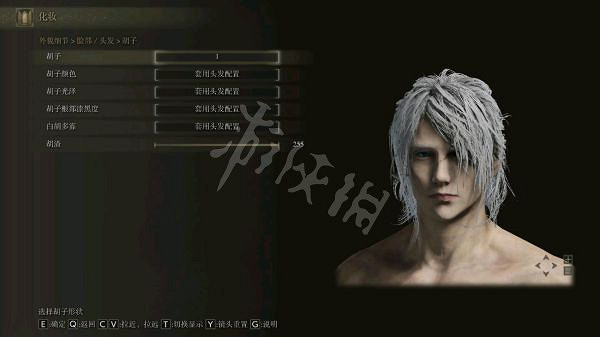 《艾爾登法環》男性角色如何捏臉？白髮男性捏臉資料分享