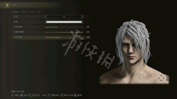 《艾爾登法環》男性角色如何捏臉？白髮男性捏臉資料分享