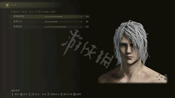 《艾爾登法環》男性角色如何捏臉？白髮男性捏臉資料分享