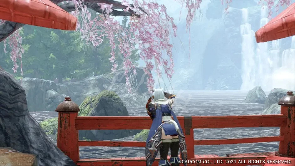 《魔物獵人崛起》貓娘配裝如何搭配?貓娘配裝選擇推薦 《魔物獵人崛起》貓娘配裝如何搭配?貓娘配裝選擇推薦