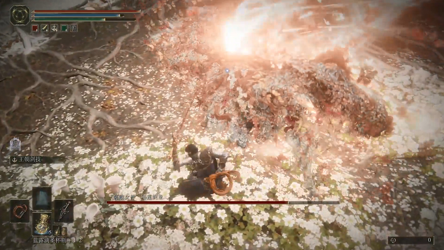 屬實是把女武神拿捏了！《艾爾登法環》玩家秀大量技能！