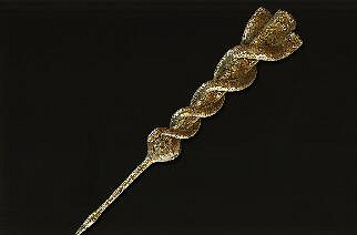 《艾爾登法環》大錘武器有哪些?大槌武器屬性介紹 《艾爾登法環》大錘武器有哪些?大槌武器屬性介紹