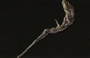 《艾爾登法環》大錘武器有哪些？大槌武器屬性介紹