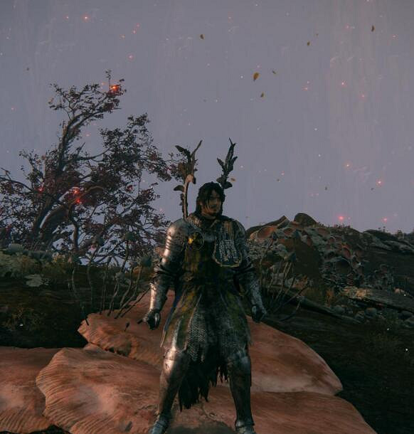 《艾爾登法環》靈廟騎士在哪刷?靈廟騎士套裝特點及刷法 《艾爾登法環》靈廟騎士在哪刷?靈廟騎士套裝特點及刷法