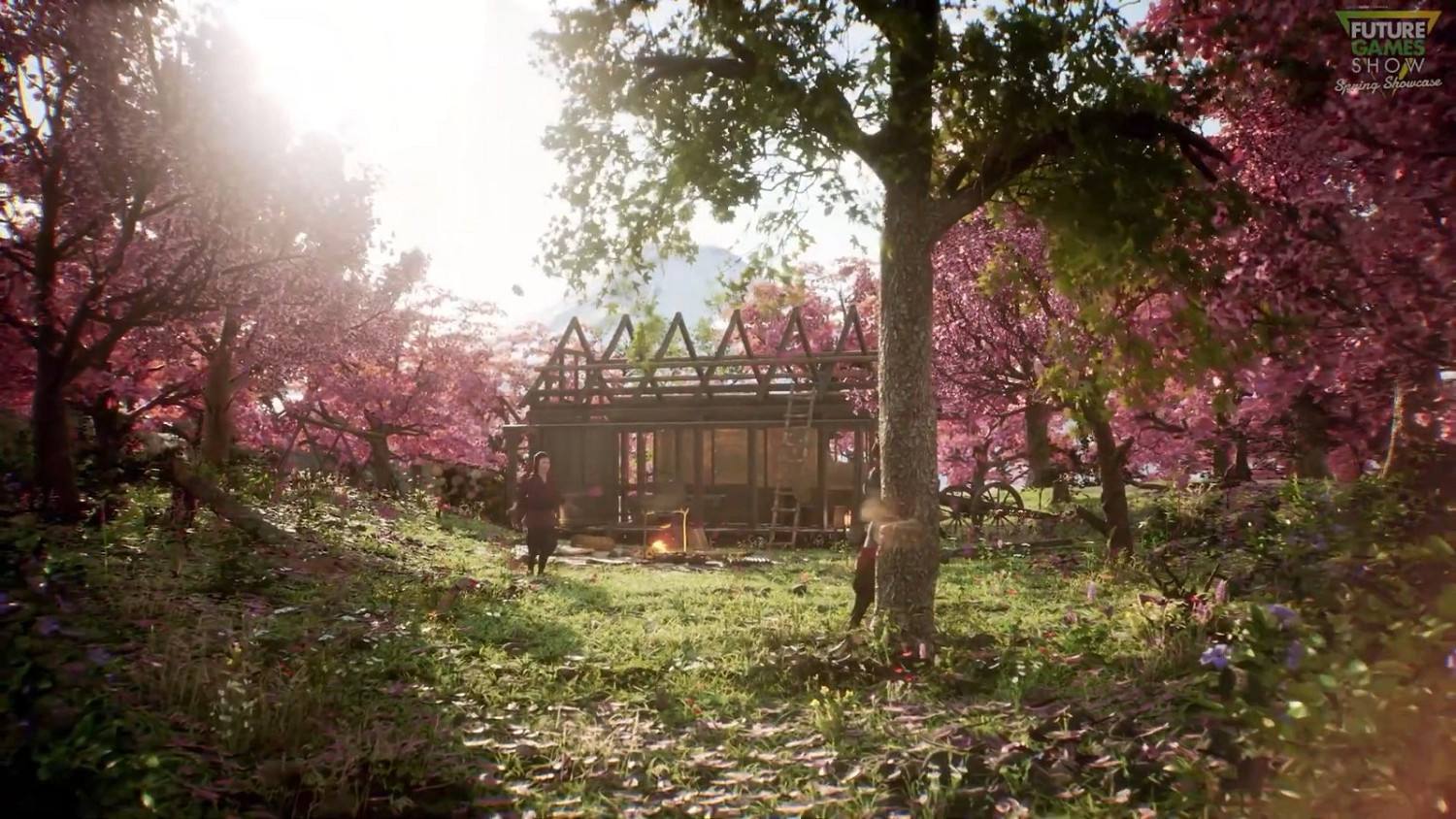 未來遊戲展:《戰國王朝》新宣傳片 展示封建時代的日本 未來遊戲展:《戰國王朝》新宣傳片 展示封建時代的日本