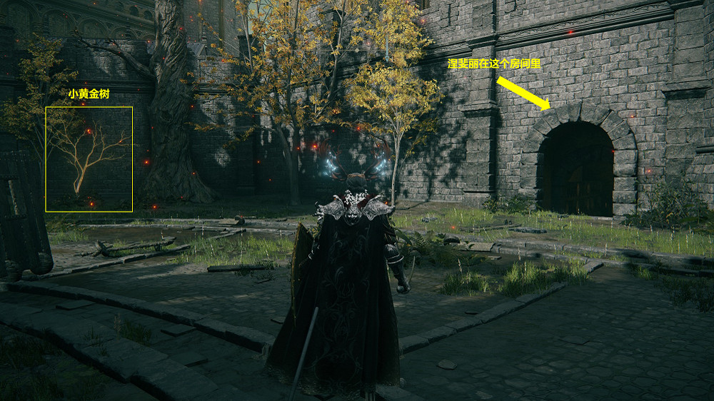 《艾爾登法環》女戰士涅斐麗露支線流程攻略分享 《艾爾登法環》女戰士涅斐麗露支線流程攻略分享