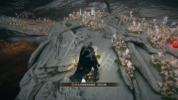 《艾爾登法環》女武神的義手在哪裡?純淨金針及女武神的義手收集 《艾爾登法環》女武神的義手在哪裡?純淨金針及女武神的義手收集