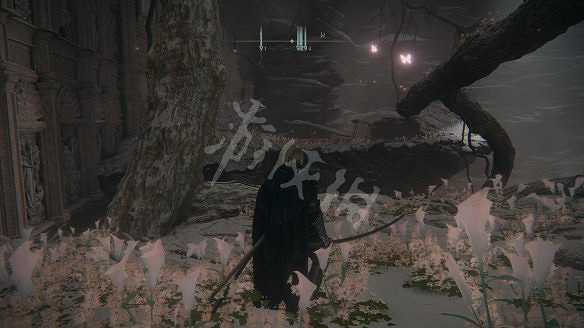 《艾爾登法環》女武神的義手在哪裡?純淨金針及女武神的義手收集 《艾爾登法環》女武神的義手在哪裡?純淨金針及女武神的義手收集